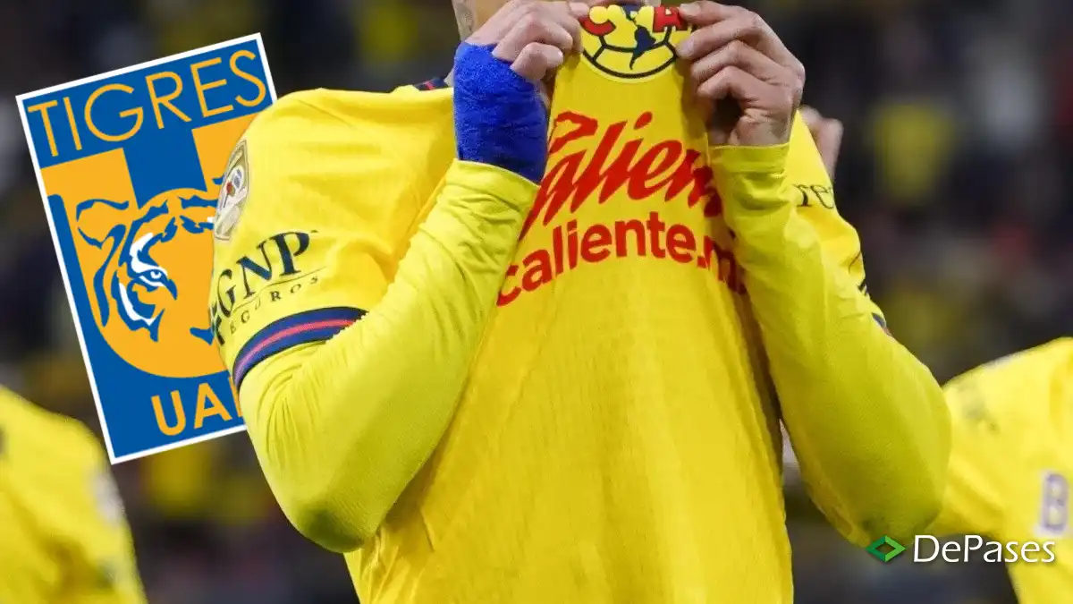 Chicote Calderón Tigres