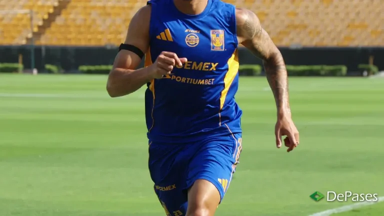 Rômulo Zwarg Tigres UANL