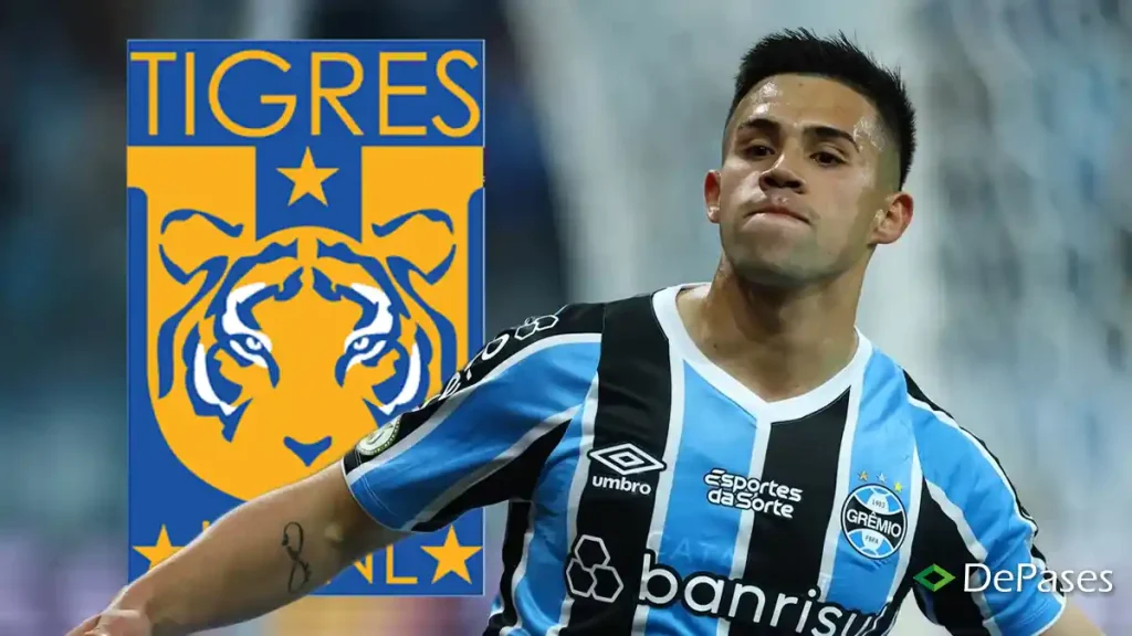 Alexander Aravena Tigres