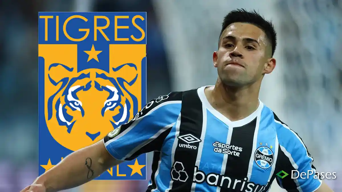 Alexander Aravena Tigres