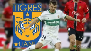 Aleix Febas Tigres