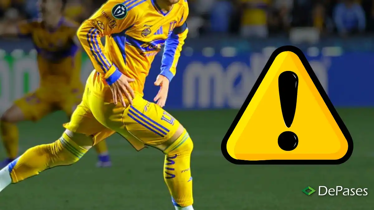 Fernando Gorriarán Tigres