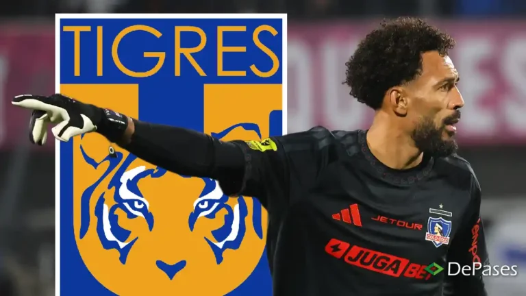 Colo-Colo Tigres Vozinha